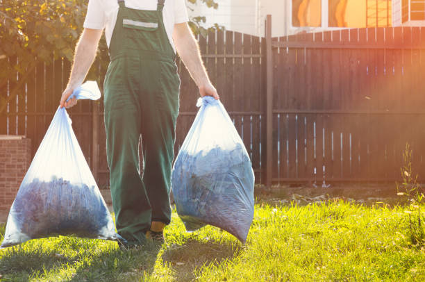Yard Cleanup Services in Rural Hall, NC